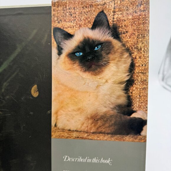 THE LOVE OF CATS BY CHRISTINE METCALF 150 COLOR PHOTO'S Book coffe table book - Picture 10 of 14